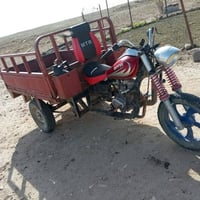 ستوته • مديل ٢٠١٠ • نجف