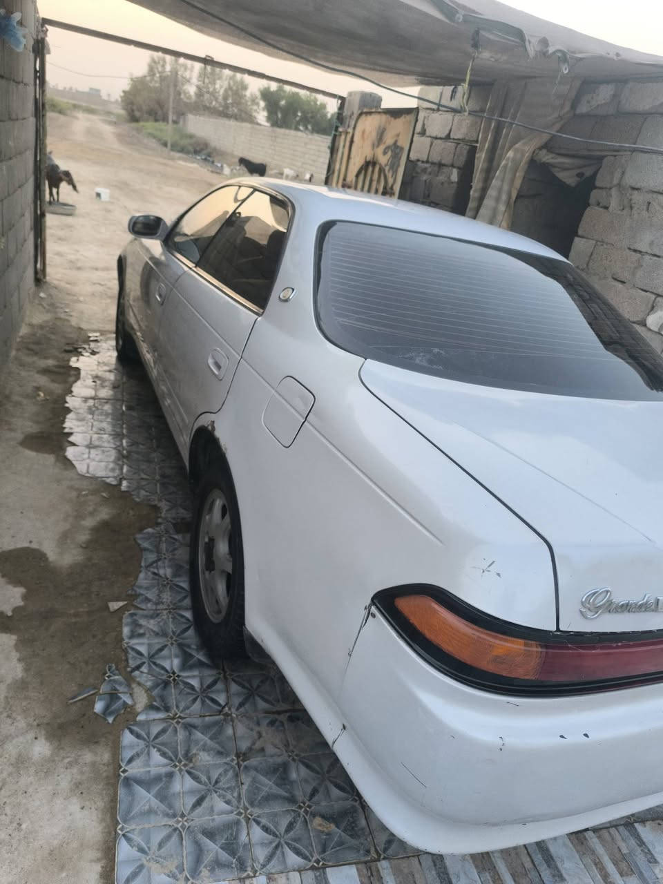 سياره مارك نفخ البيع مكفوله من الكص ونقل والضربه مكينه اثنين   

ونص تحول ثاني يوم رقم نكليزي مشروع وطني والسنويه ال30 السعر 53  *********** رقم
