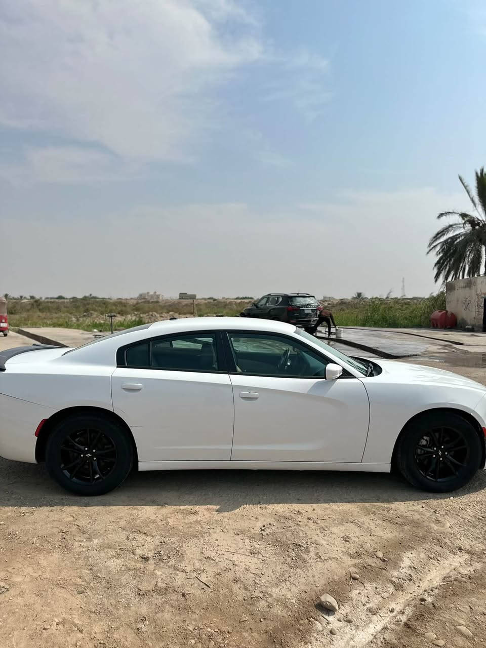 تشارجر SXT • ٢٠١٩ • رقم بصره