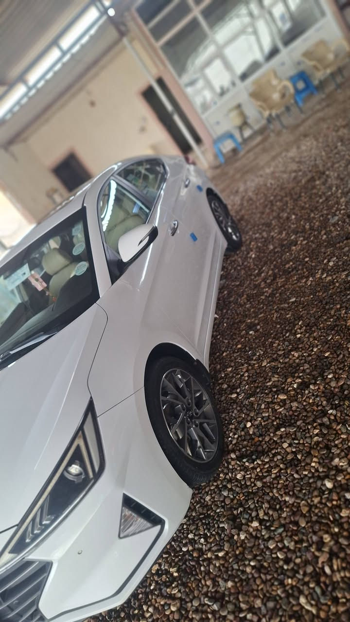 النتر • ٢٠٢٠ • كربلاء بطوريج