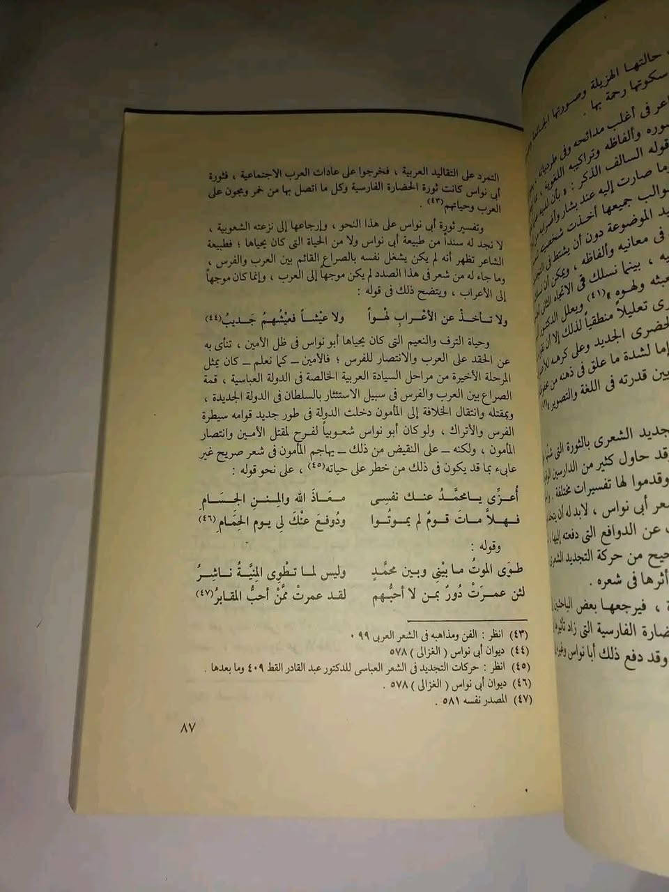 الشعراء المحدثون • حسن درويش • دراسة نقدية