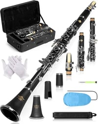 اكلوت B Flat Concert Clarinet: تصميم ثقب نغمة دقيق لصوت مستقر، مفاتيح ...