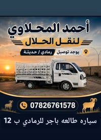طالعة بأجر • رمادي • حلال
