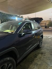 راف فور XLI • ضربة باب • كشنات جلد