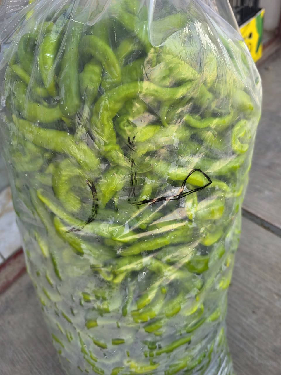 بسم الله وعلى بركه الله 

مسواك يوم الاحد ان شاءالله 

جديد وطازج وفريش 🍒🍇🍋‍🟩🌶🫛🫑🥑🍅🍊🍎🍓🥦🍄🥦🍎🍊🍊🫛🍎

متوفر جميع انواع الفواكه والخضراوات لدى 

بقالة اليرموك البيت الصيني محلات كوزمتك باريس سابقااا 

متوفر توصيل صباحا ومساءااا 

هاتف /*********** 

وكل الهلا بيكم وحياكم الله
