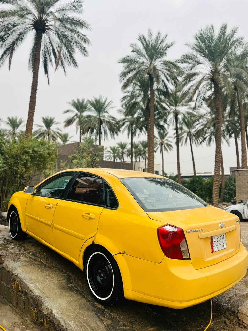 ابتره • ٢٠١٠ • بابل
