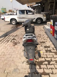 ماكس ثعلب • مامفتوحة • دهن اصلي