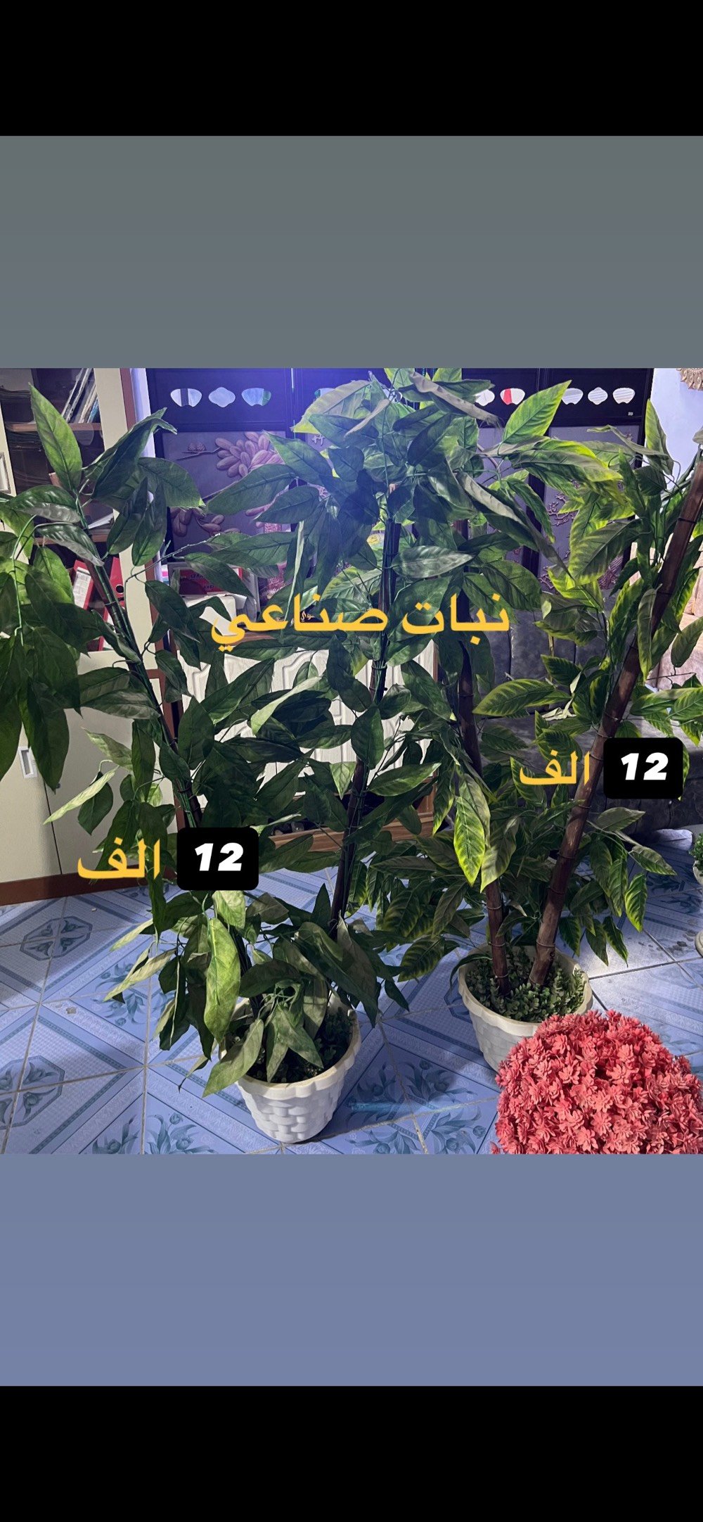 راسلني