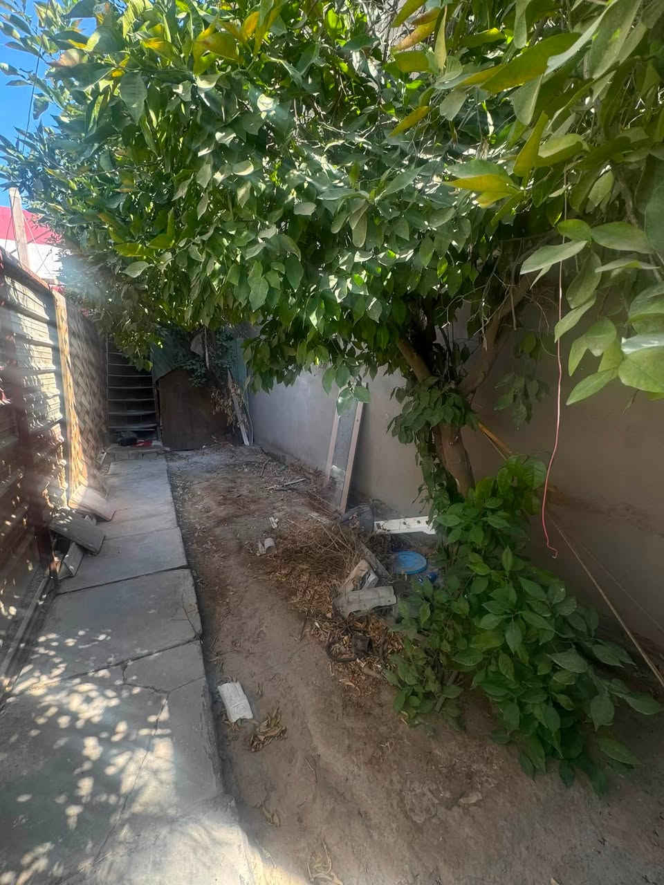 🏡 شقة للإيجار – العامرية
من المالك الشخصي مباشرة 
📍 الموقع: العامرية، خلف شارع المطبعة، نهاية شارع الشيف السوري.

✅ تتكون من:

* غرفتين
* هول
* خدمات متكاملة
* سطحين واسعين

📞 للتواصل والاستفسار:
***********
