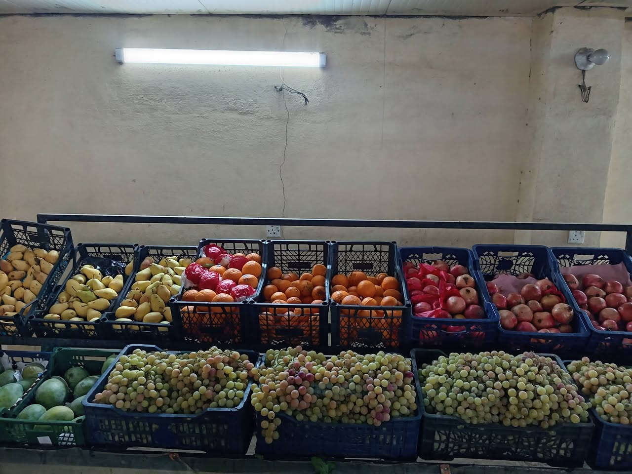 طماطه • خضار وفواكه • علوة القريه