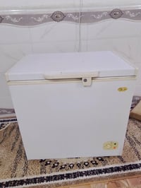 مجمده • شغاله • البصرة