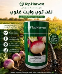 لفت توب وايت غلوب • منظومات ري • توصيل مجاني