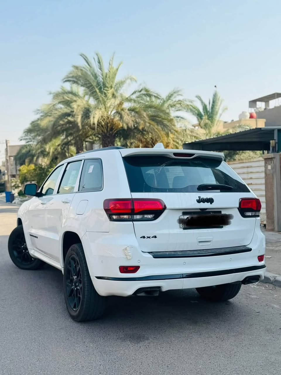 موديل ٢١ • فول الفول • تحويل ثاني يوم