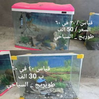 قياس ٣٠×٦٠ • قياس ٤٠×٦٠ • طوريج السياحي