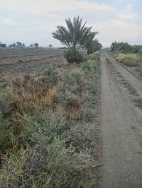 أرض زراعيه • اليوسفيه • دونم مربع