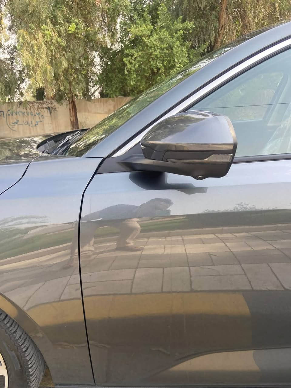 إيدو بلس • لامور فل • بانوراما