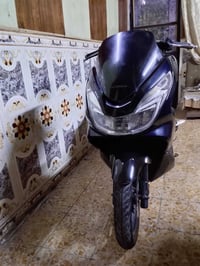 بيسي إكس • ياباني • كفالة