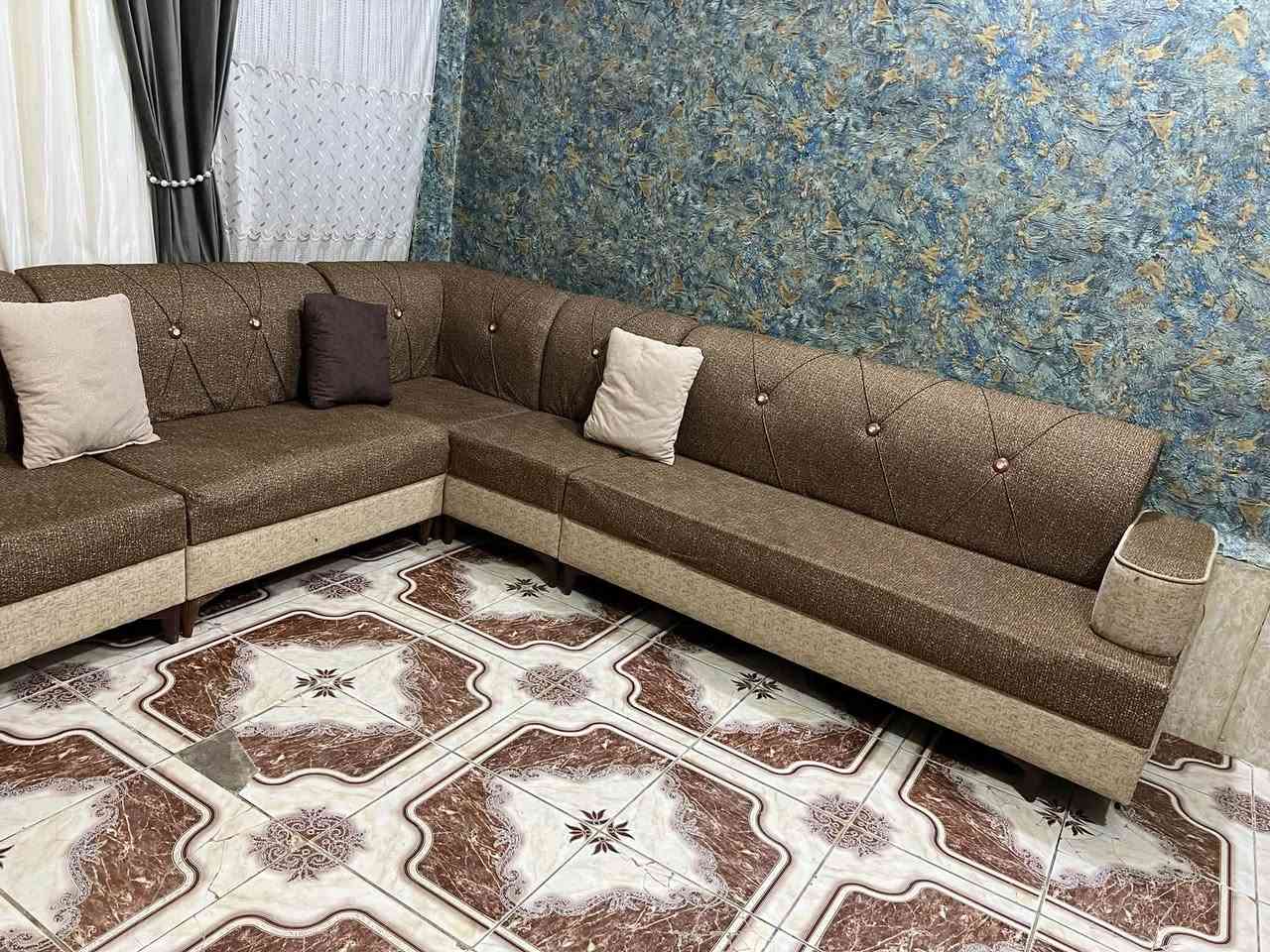 تخم ديوان نضيف كلش وقوي خمس قطع١٠نفرات٢٢٥وبيه مجال لشراي ناصريه وتساب***********
