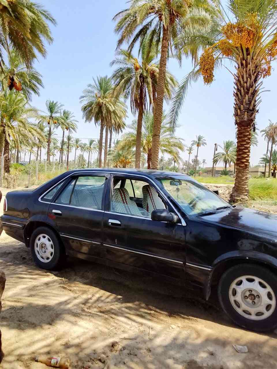 برنس • موديل ٩٥ • بابل الهاشميه