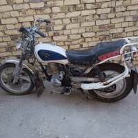 جونده • ١٥٠ • بدون اوراق