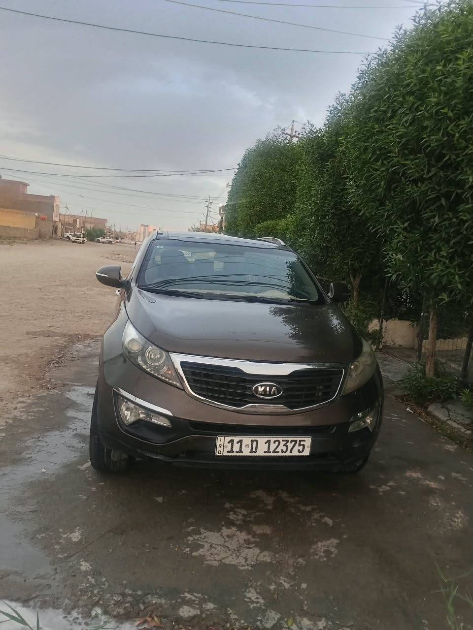 سبورتج • ٢٠١٣ • ابو غريب