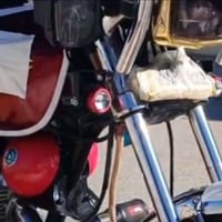 هورن • مشدودات • نظيف