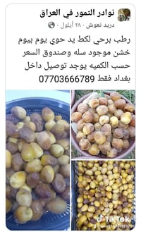 تمور • رطب برحي • توصيل بغداد