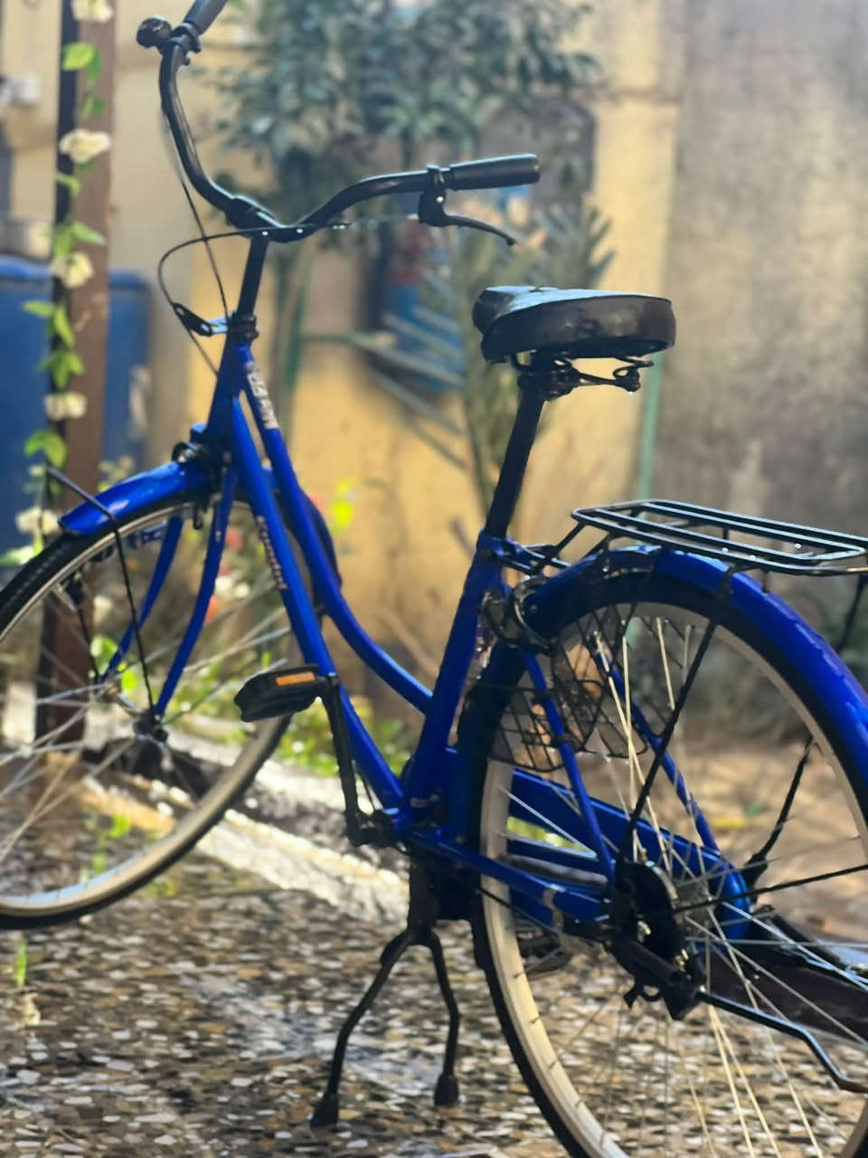 بايسكل بطه • حجم ٢٦ • موديل ٢٤
