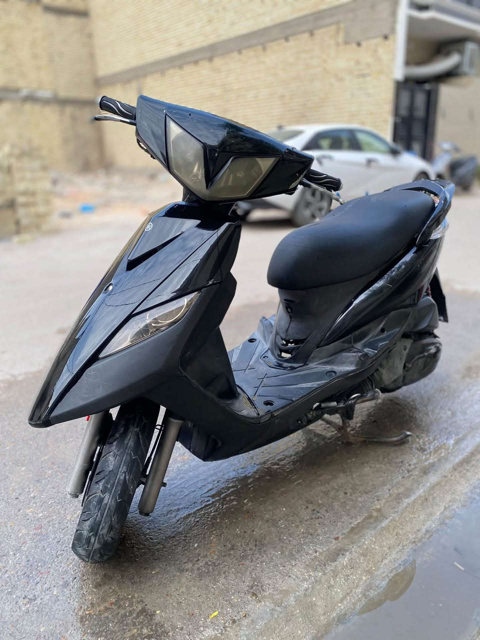 ثعلب • نضيفه • معدل