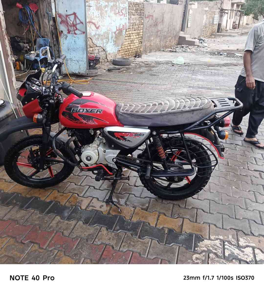 بوكسر • موديل ٢٢ • بدون أوراق