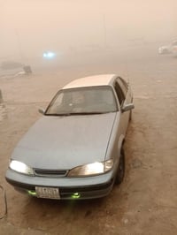 برنس • مصبوغه • تكريت