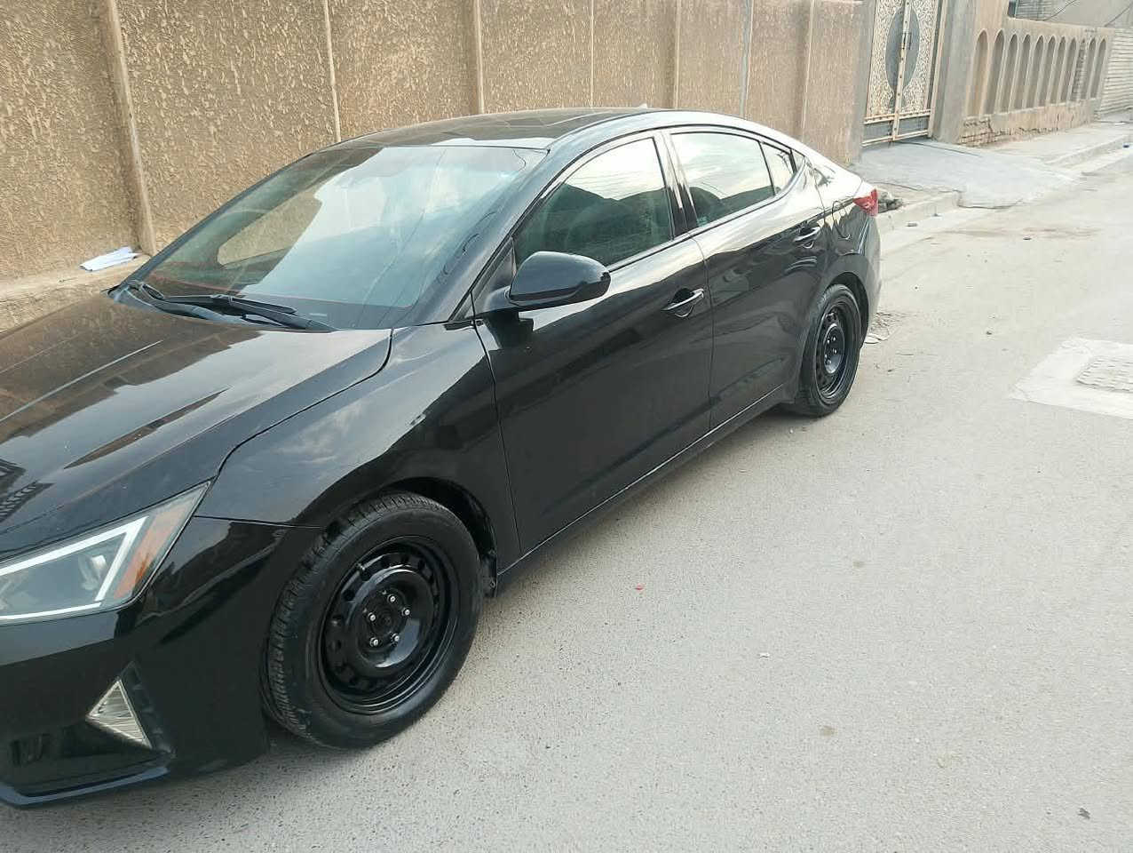 فول مواصفات • ٢٠٢٠ • المشتل