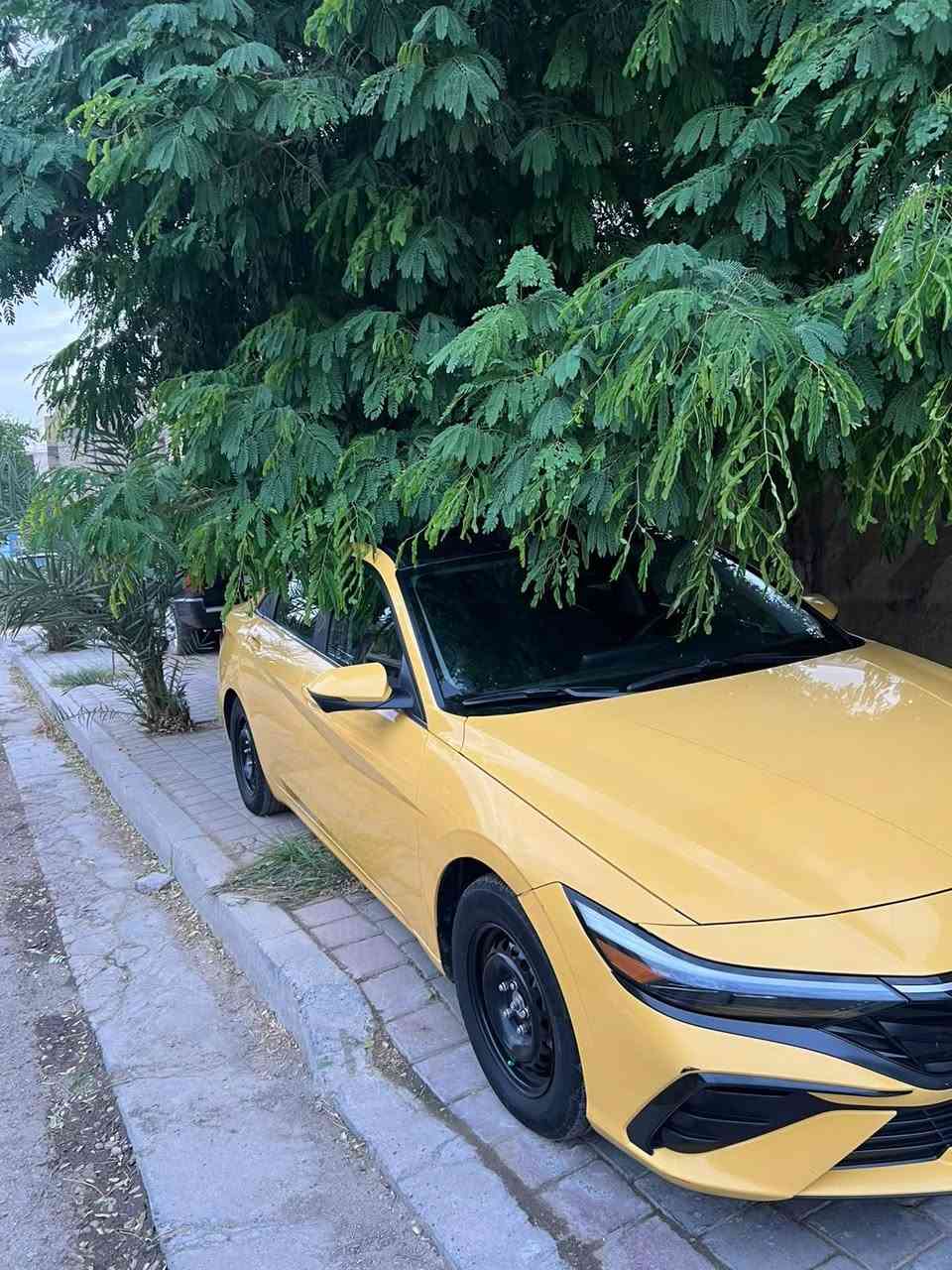 النترا • ٢٠٢٤ • وارد امريكي
