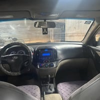 النترا • ٢٠١٠ • ضربة خلفية