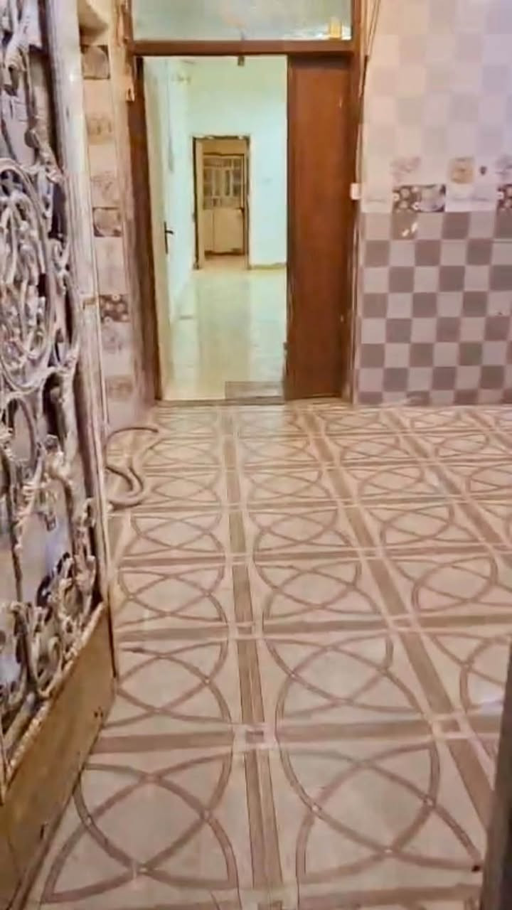 يعلن مكتب البحر للاستثمارات العقارية

عن توفر بيت للاجار في حي الزهراء موقع سكني مميز 

مواصفات البيت

غرف عدد 2
صالة
استقبال
مطبخ 
صحيات
طارمة
سعر الايجار 700

للاستفسار زيارة موقعنا الكائن في البصرة _الجبيلة_ الشارع العام  او الاتصال على الارقام التاليه 
‏ ***********
‏ ***********
