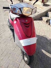 بريز بغبغاء لبيع  مكفوله كفر ومكينه  نوزل خطين احمر جارد مكان مدينه ال...