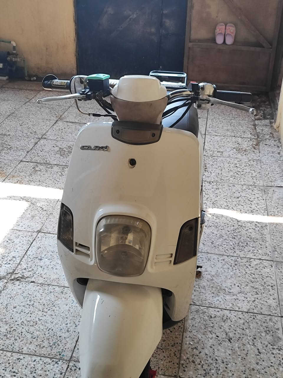 بوليس • ابيض كريمي • كفالة