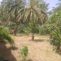 بيت وأرض • طريق الشافعية • ٦٠٠م