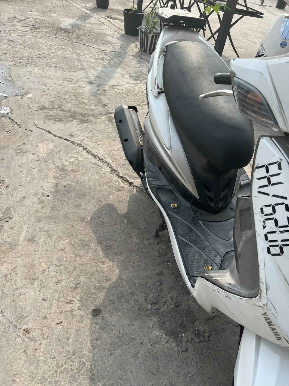 سكنس فحل • مامفتوحة • لايت زنون