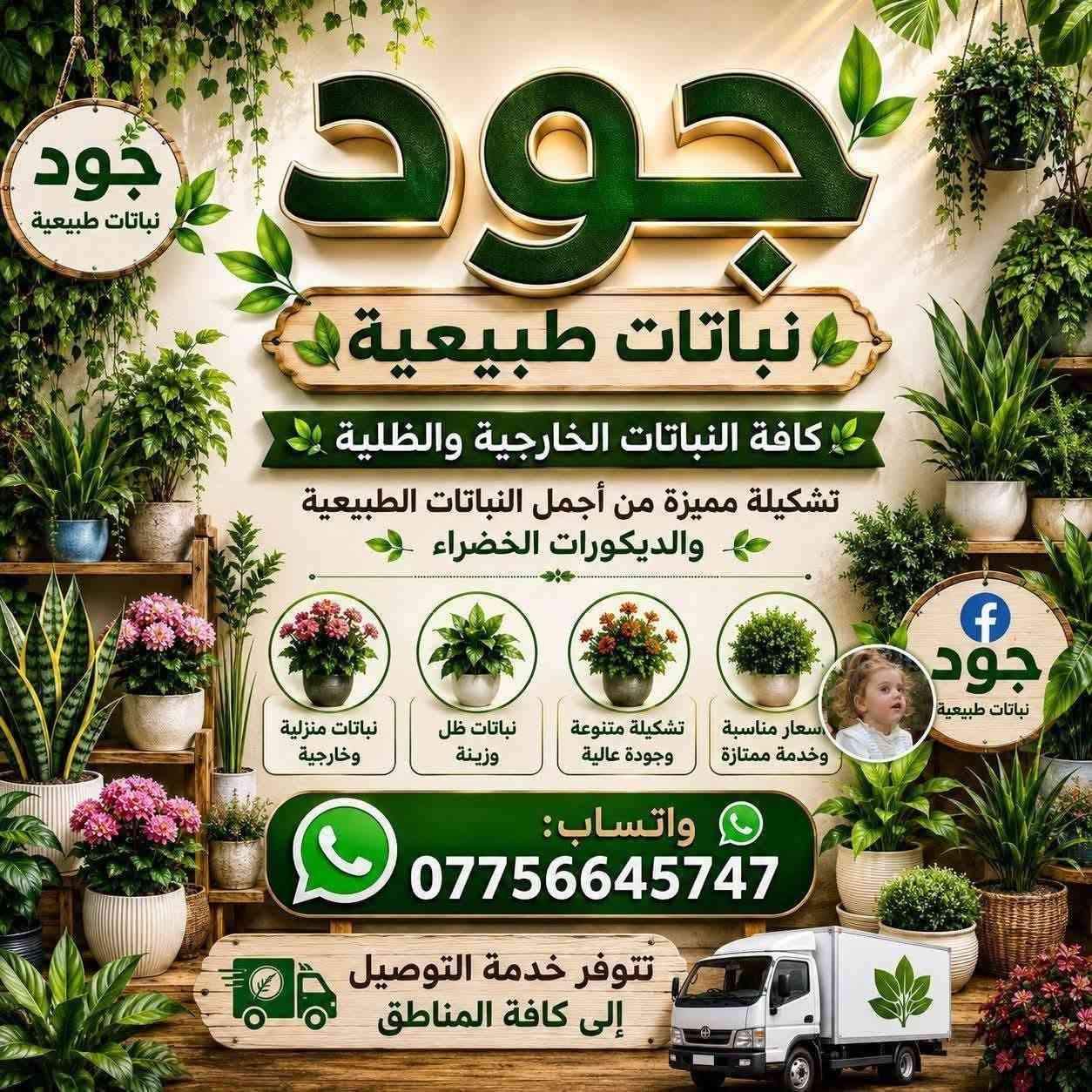 جلد نمر قزمي • عصا موسى • حي العدل