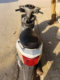سكنس فحل • سلف • مامفتوح