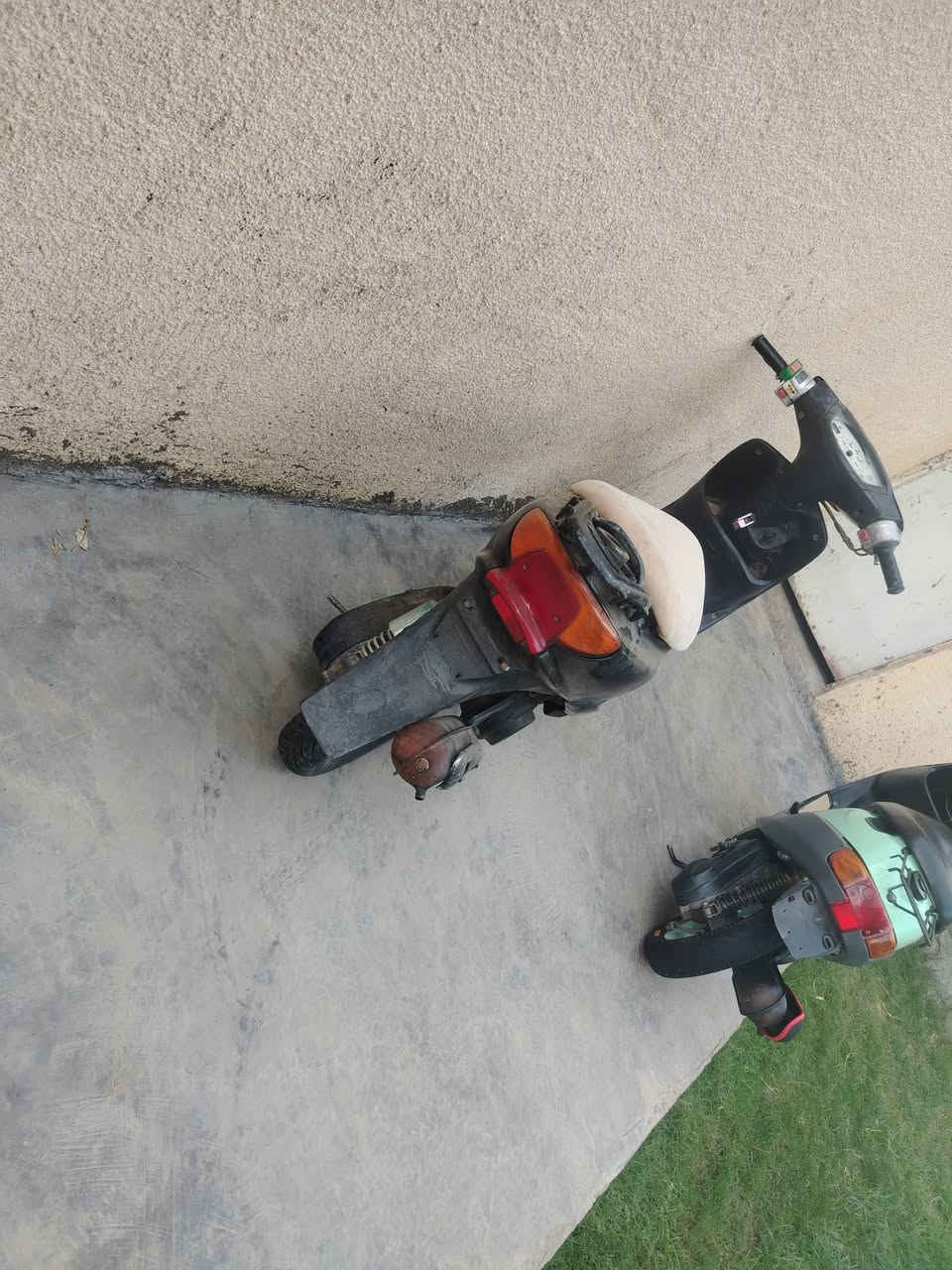 ياماها ٦٠ • عصفورية ناقصها كابريتر • بطة تشتغل