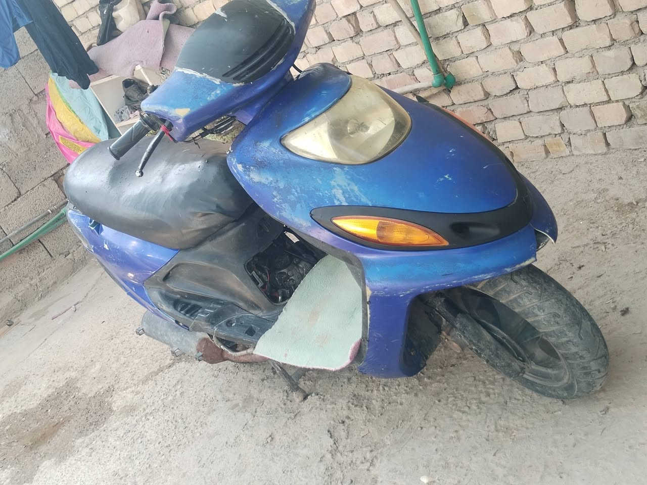 دولفين 140 • جديد • ترتيبات بسيطة
