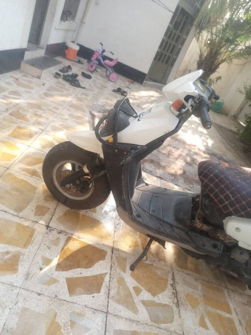 جبلي • جاهزة • مامفتوحه