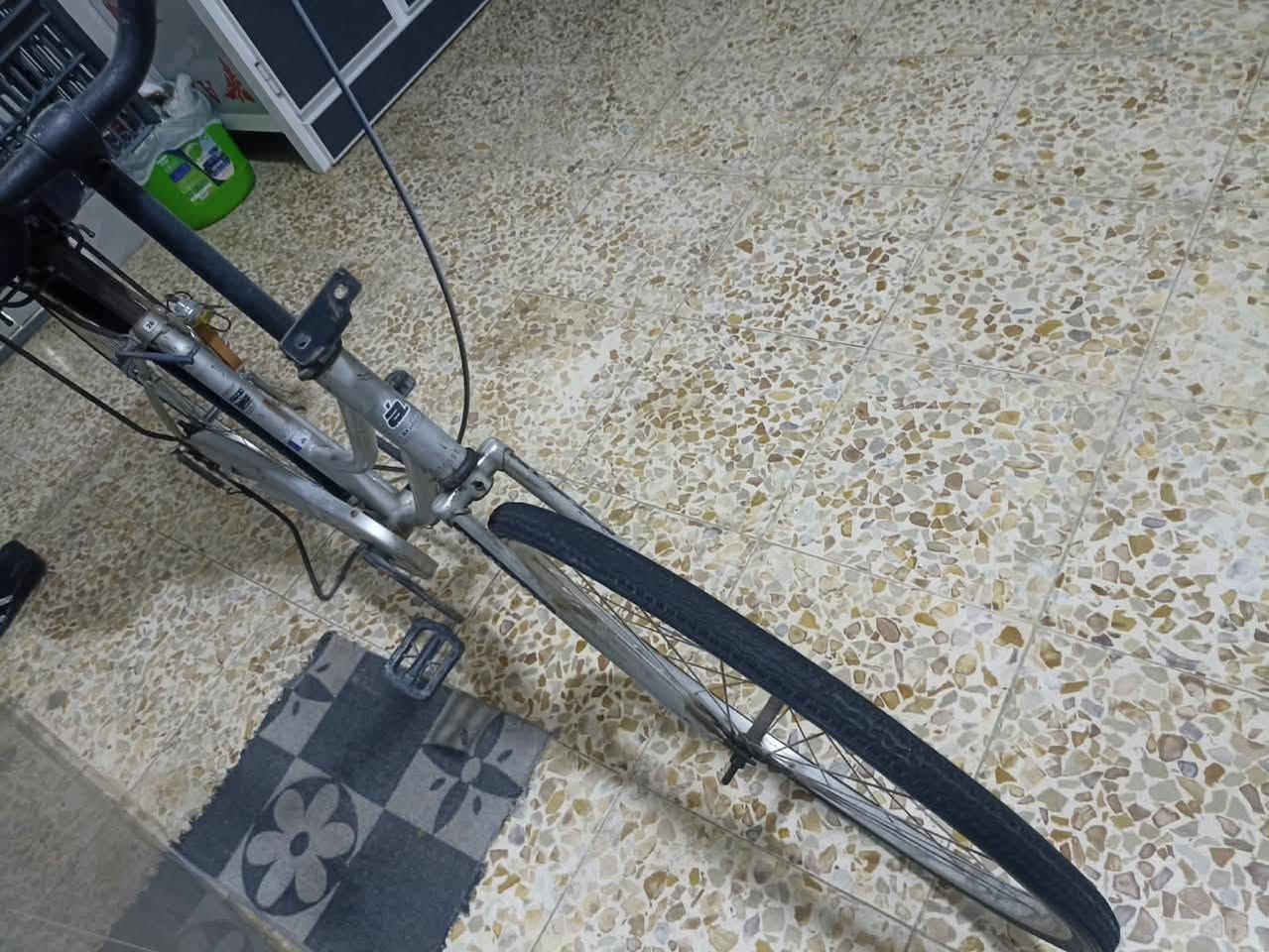 بايسكل • ابو صخير • قرب الصدرين