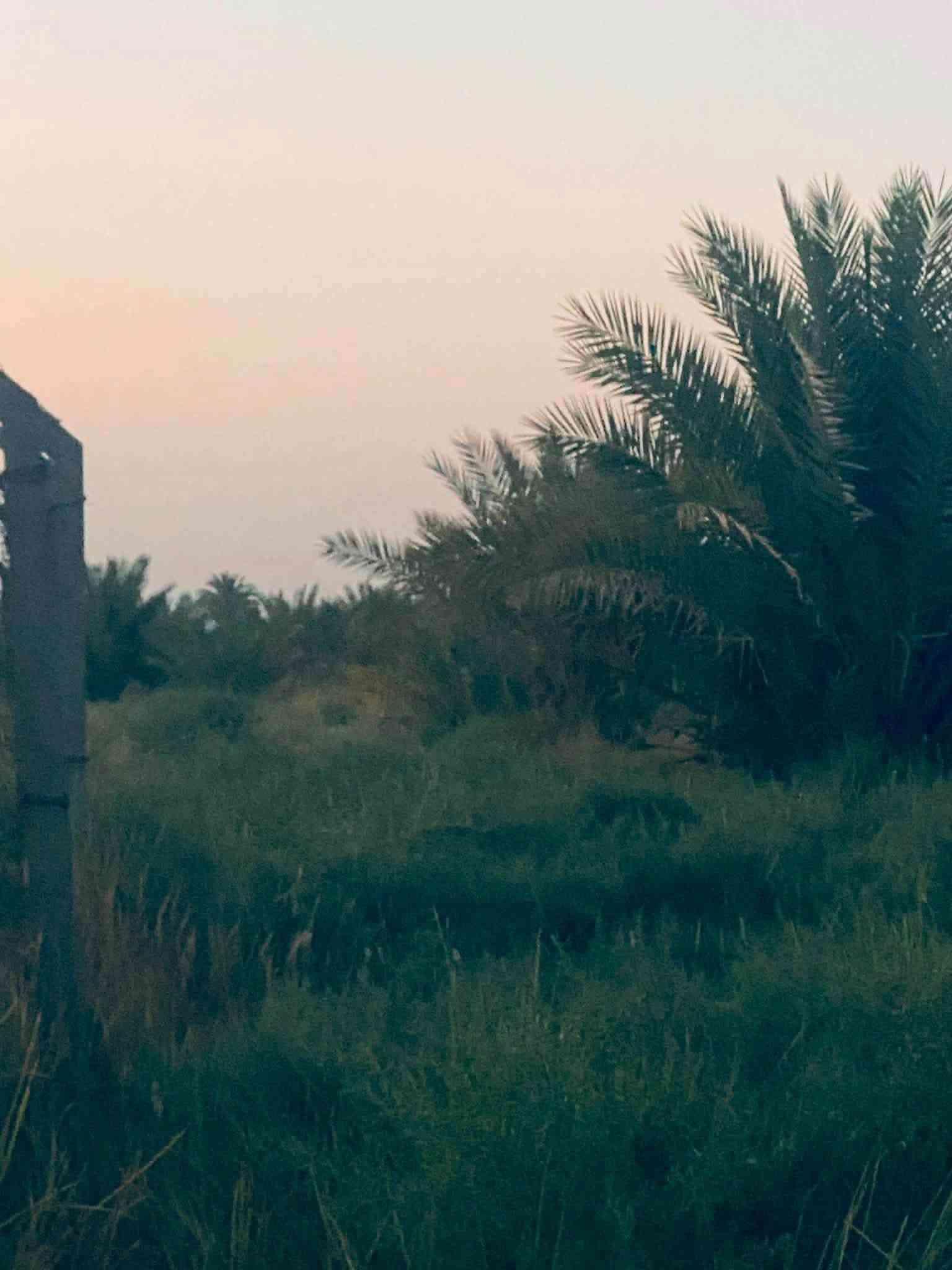 #بستان 2 دونم للبيع
دونمين للبيع تحتوي على نخيل نوعيات جيدة (حمال)

متوفر كافة الخدمات

🍀ماء اساله

🍀ماء سقي

🍀كهرباء

🍀مسيجه بالكامل brc

♻️

موقع مميز 👍 يحدها نهر من البداية ونهر من النهايه

📍العنوان - طريق الدغاره - نزلت زبيد - بداية البونايل قرب الاروائي(ابوصبخه)

للتفاصيل أكثر 

***********
