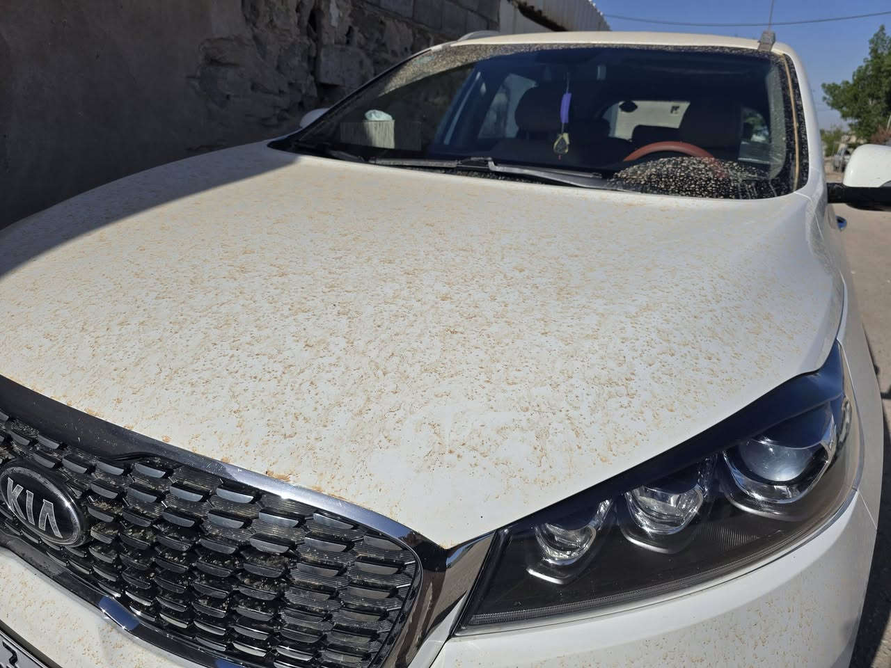 سورنتو خليجي • V6 • ٧ راكب