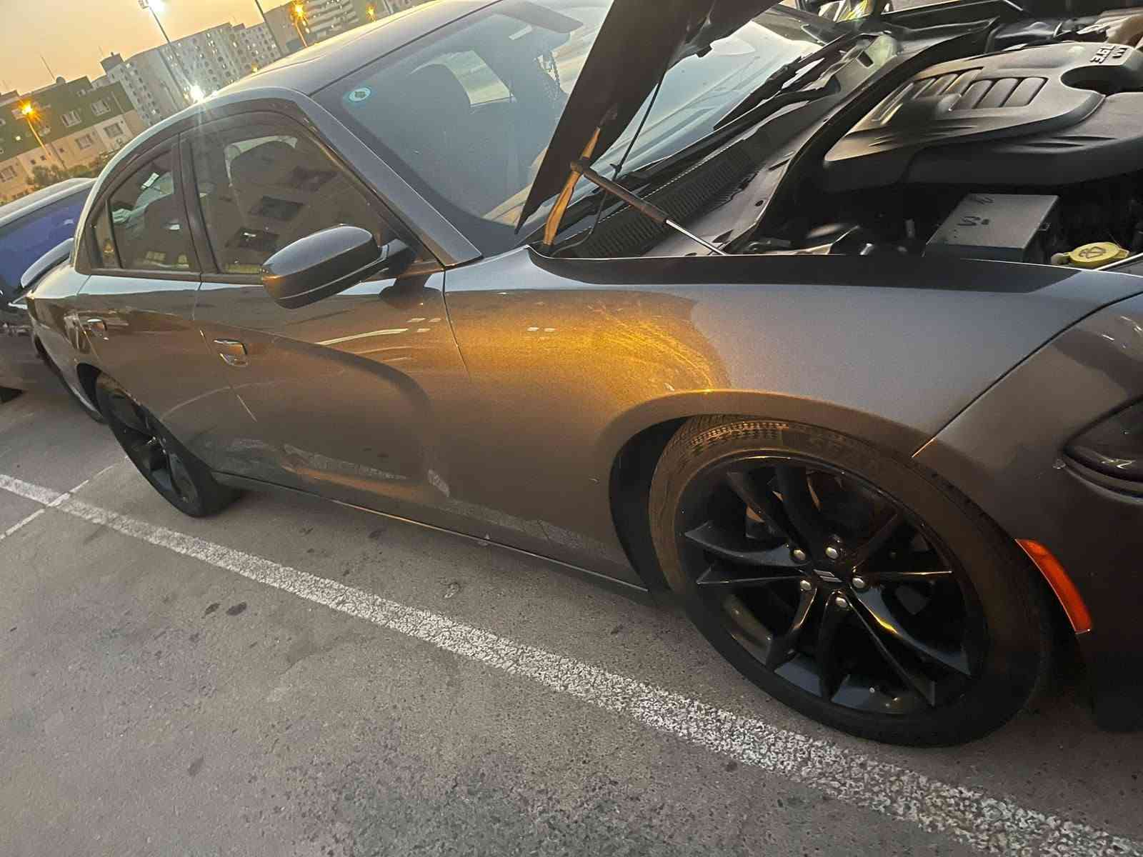 تشارجر SXT • ٢٠١٩ • بدون صبغ