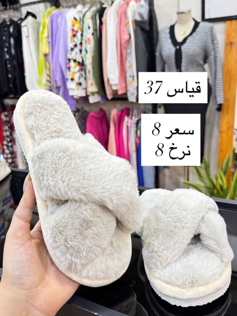 بانتوفات شي ان • مقاسات ٣٧-٣٩ • حجز دايركت