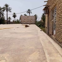 فلات كرونه • شاصي ١٦ • ١٢ وربع م